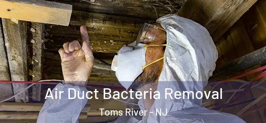 Air Duct Bacteria Removal Toms River - NJ