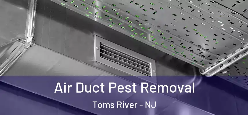 Air Duct Pest Removal Toms River - NJ