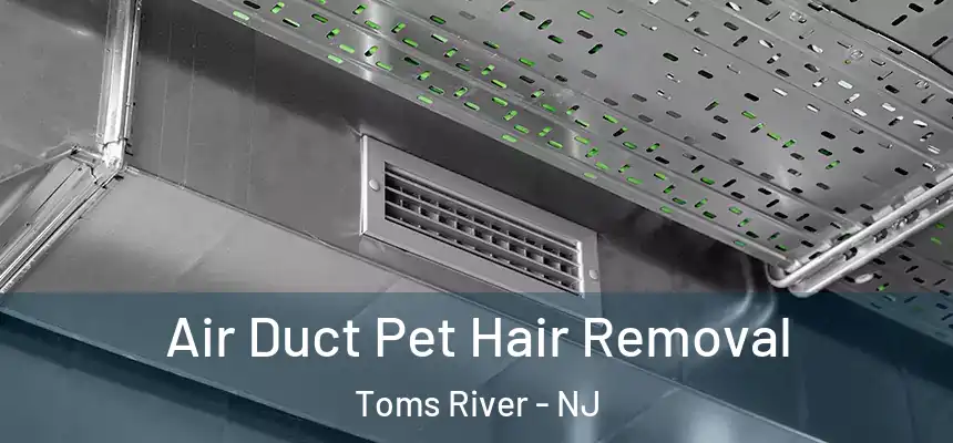 Air Duct Pet Hair Removal Toms River - NJ