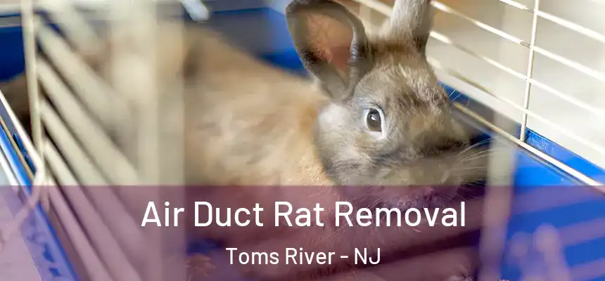Air Duct Rat Removal Toms River - NJ