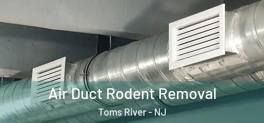 Air Duct Rodent Removal Toms River - NJ