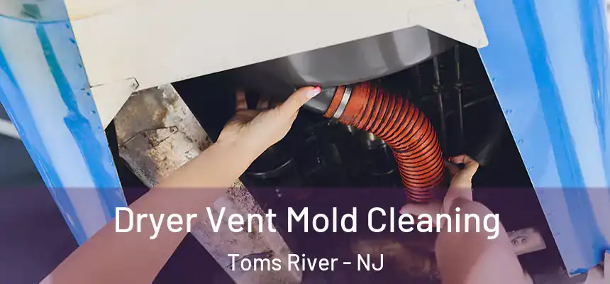 Dryer Vent Mold Cleaning Toms River - NJ