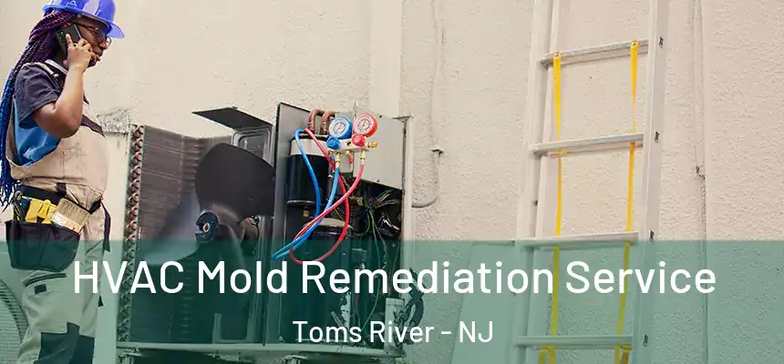 HVAC Mold Remediation Service Toms River - NJ