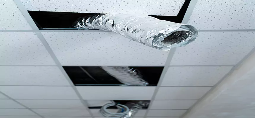 Our Air Duct Pet Hair Removal Services in Toms River, NJ