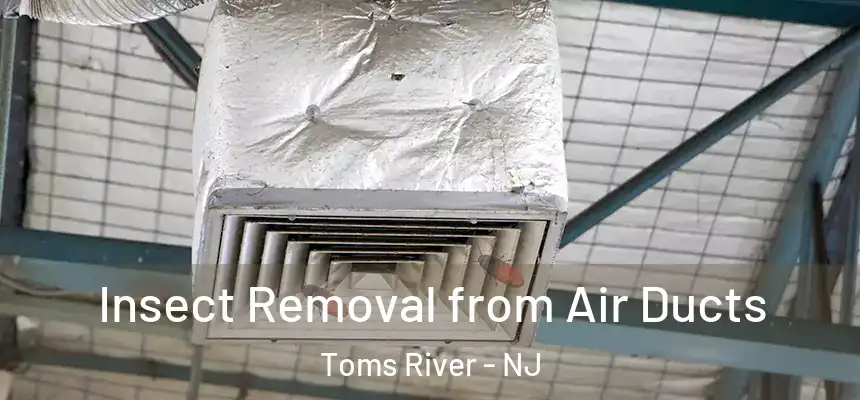 Insect Removal from Air Ducts Toms River - NJ