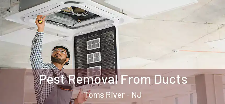 Pest Removal From Ducts Toms River - NJ