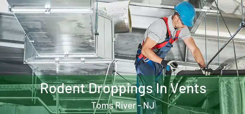  Rodent Droppings In Vents Toms River - NJ