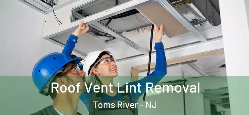  Roof Vent Lint Removal Toms River - NJ