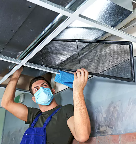 About Air Duct Bacteria Removal in Toms River