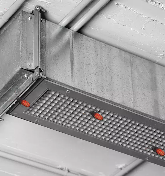 Affordable Insect Removal from Air Ducts in Toms River, NJ