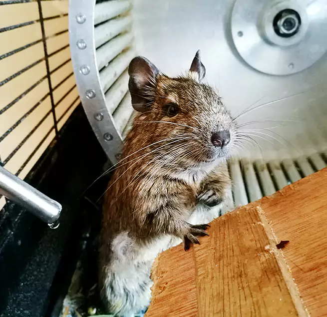 Why Homeowners & Businesses Trust Us Toms River, NJ