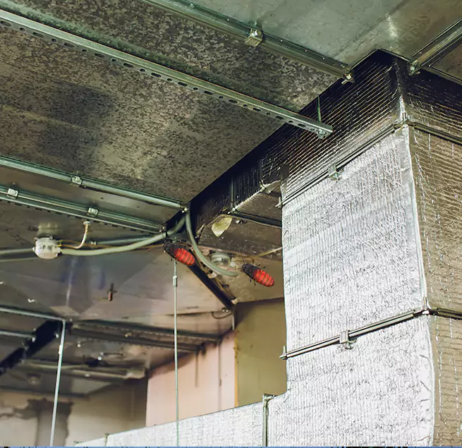 Why Homeowners & Businesses Trust Us Toms River, NJ?